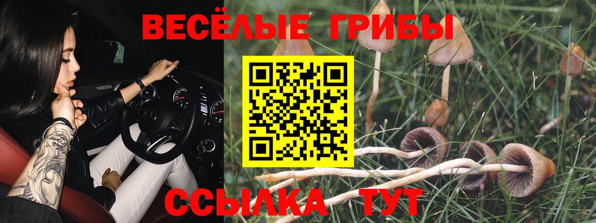 Галлюциногенные грибы Psilocybine cubensis  Вход с VPN  Россошь 